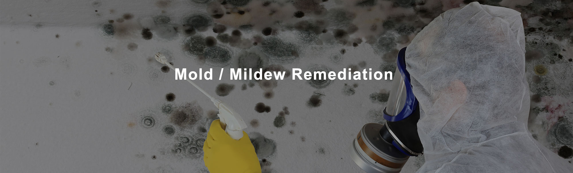 Mold / Mildew Remediation